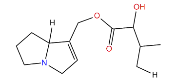 9-(2-Hydroxy-3-methylbutanoyl)-supinidine